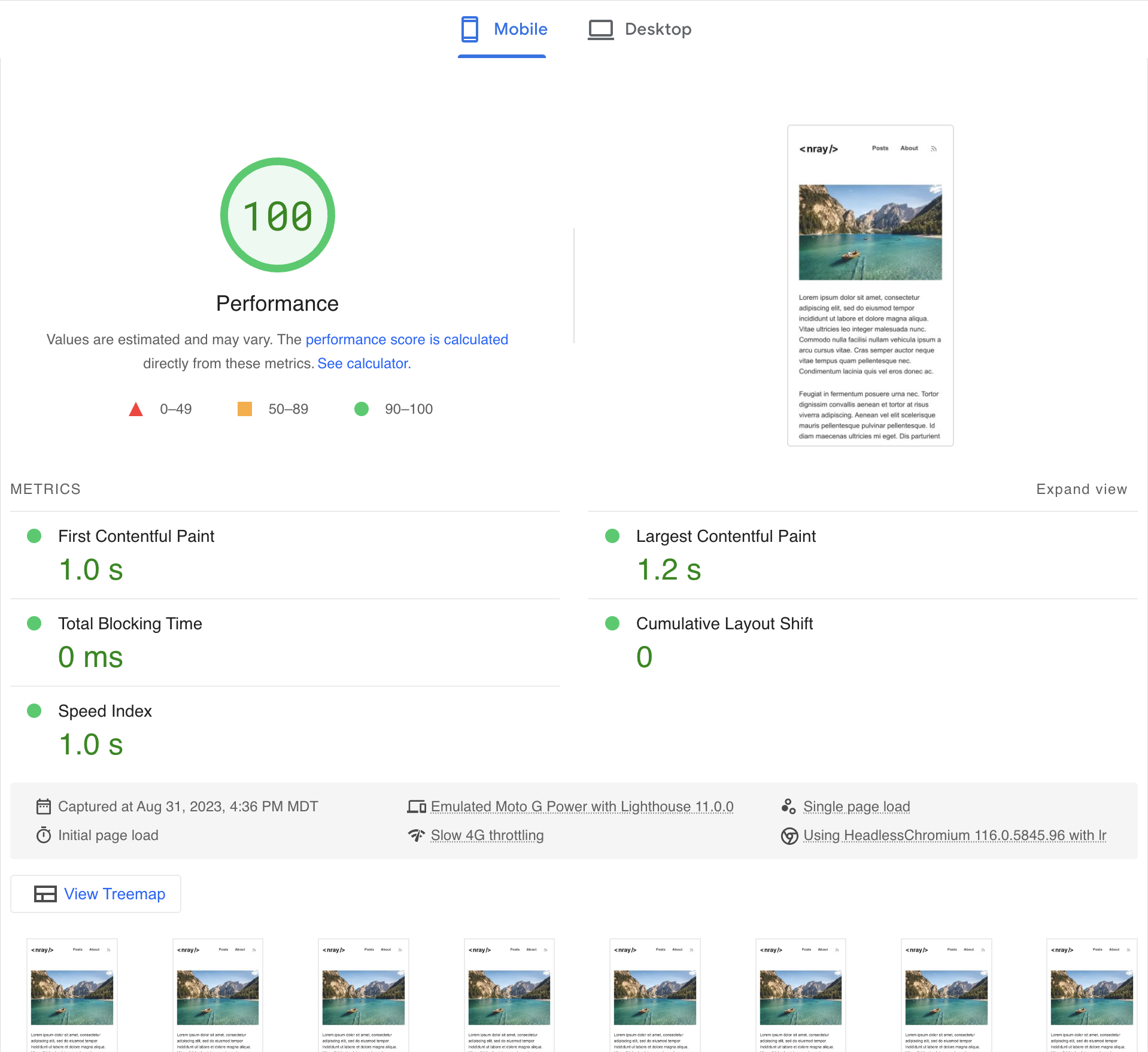 PageSpeed Insights report showing a 100 total score and 0 Cumulative Layout Shift.