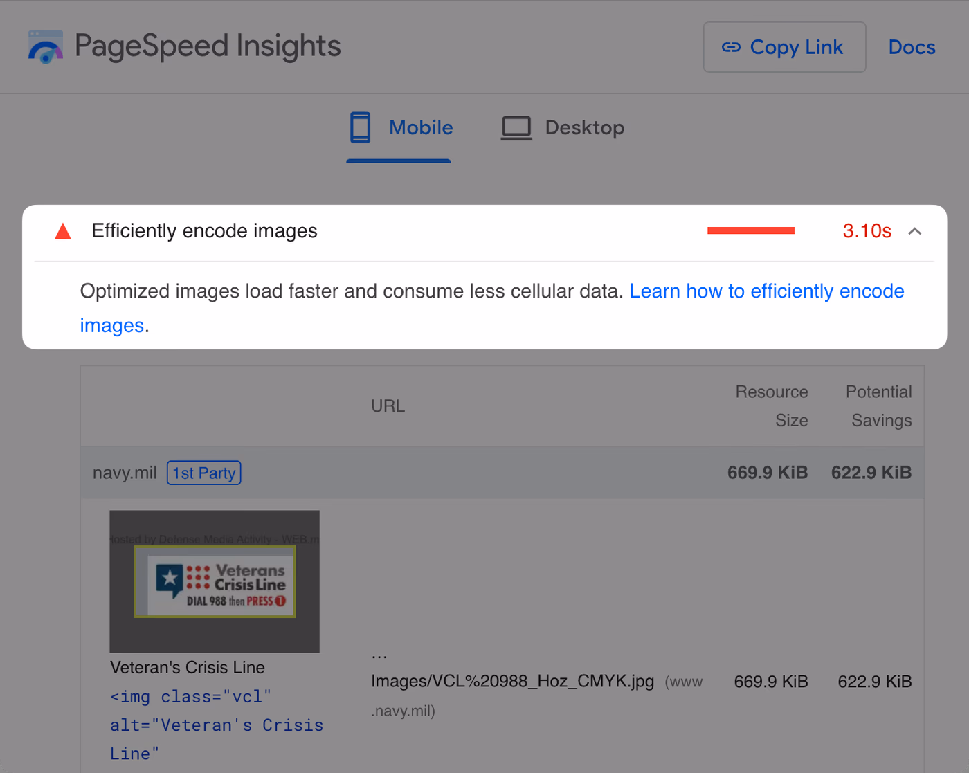 PageSpeed Insights report showing a failing `efficiently encode images` audit.