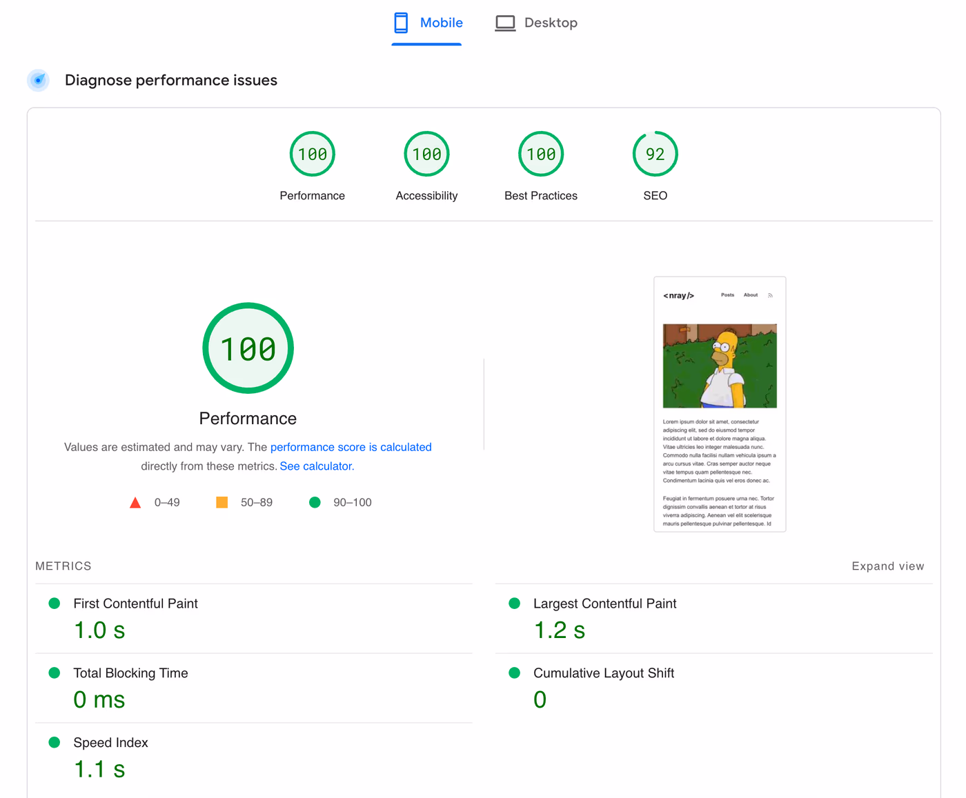 PageSpeed Insights report showing a perfect score when testing the video.